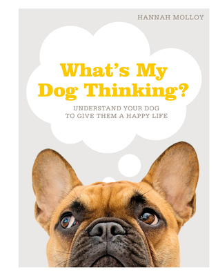 What's My Dog Thinking?: Understand Your Dog to Give Them a Happy Life - Hannah Molloy