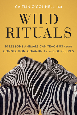 Wild Rituals: 10 Lessons Animals Can Teach Us about Connection, Community, and Ourselves - Caitlin O'connell