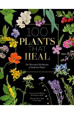 100 Plants That Heal: The Illustrated Herbarium of Medicinal Plants - Franois Couplan