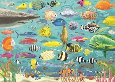All the Fish 1000 Piece Jigsaw Puzzle - Peter Pauper Press Inc