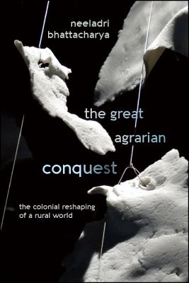 The Great Agrarian Conquest - Neeladri Bhattacharya