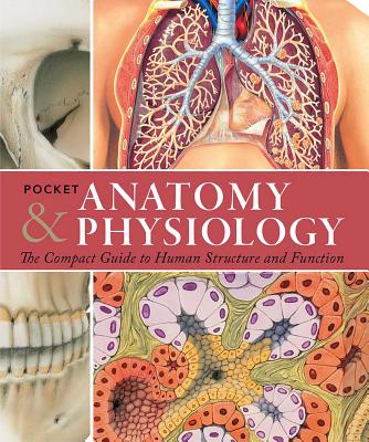 Pocket Anatomy & Physiology: The Compact Guide to the Human Body and How It Works - Ken Ashwell