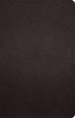 ESV Large Print Personal Size Bible (Buffalo Leather, Deep Brown) - 