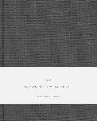 ESV Panorama New Testament (Cloth Over Board, Gray) - 