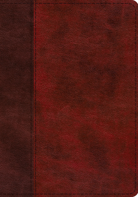 ESV Single Column Journaling Bible, Large Print (Trutone, Burgundy/Red, Timeless Design) - 