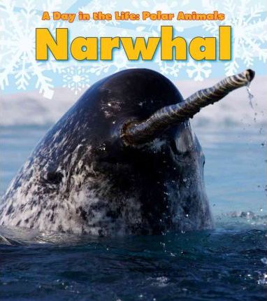 Narwhal - Katie Marsico
