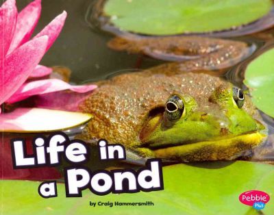 Life in the Pond - Craig Hammersmith