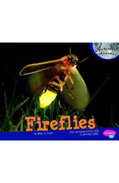 Fireflies - Mary R. Dunn