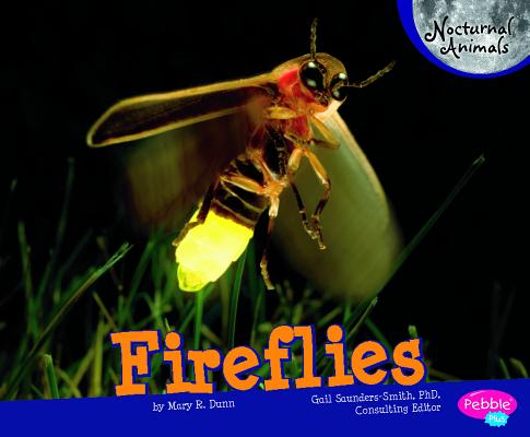 Fireflies - Mary R. Dunn