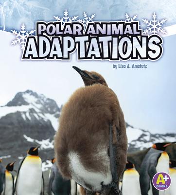 Polar Animal Adaptations - Lisa J. Amstutz