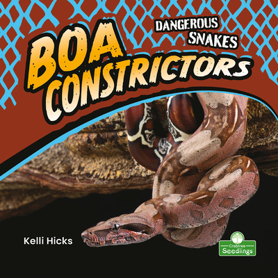 Boa Constrictors - Kelli Hicks