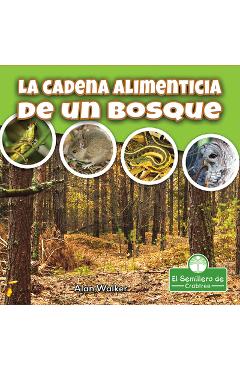 La Cadena Alimenticia de Un Bosque