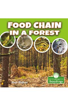 Coperta cărții 'Food Chain in a Forest - Alan Walker'