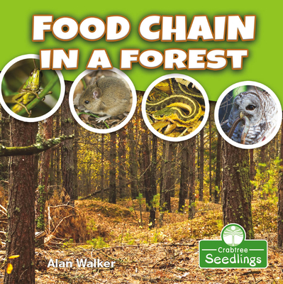 Food Chain in a Forest - Alan Walker