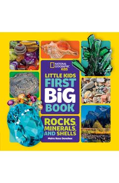 Little Kids First Big Book of Rocks, Minerals & Shells - Moira Donohue