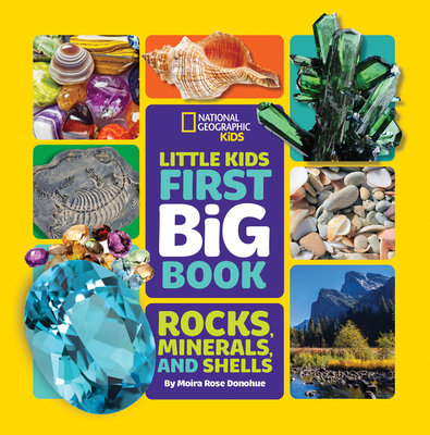 Little Kids First Big Book of Rocks, Minerals & Shells - Moira Donohue