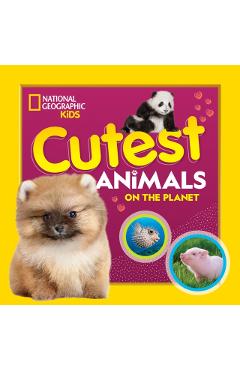 Cutest Animals on the Planet - National Geographic Kids