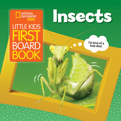 Little Kids First Board Book: Insects - Ruth Musgrave