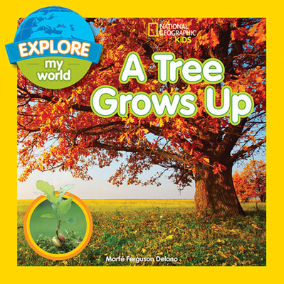 Explore My World: A Tree Grows Up - Marfe Delano
