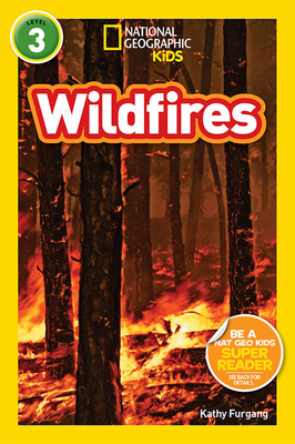 Wildfires - Kathy Furgang