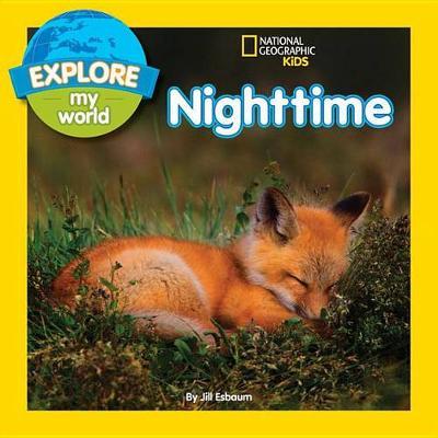 Explore My World: Nighttime - Jill Esbaum