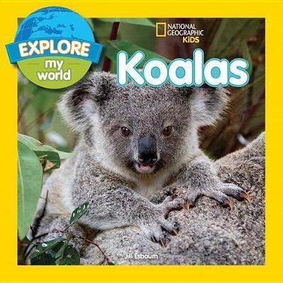 Explore My World Koalas - Jill Esbaum