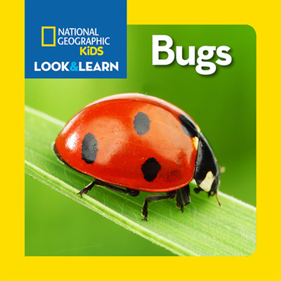 National Geographic Kids Look and Learn: Bugs - National Kids