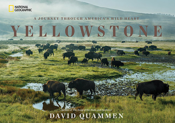 Yellowstone: A Journey Through America's Wild Heart - David Quammen