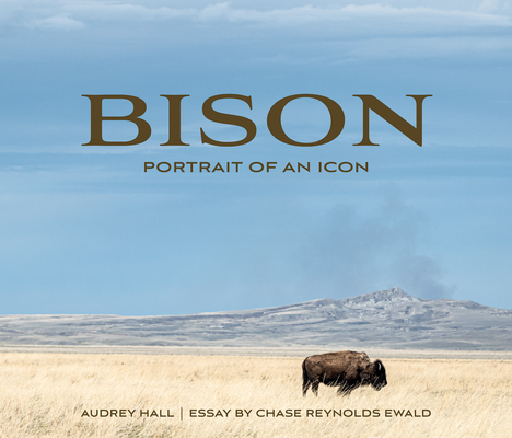 Bison: Portrait of an Icon - Audrey Hall
