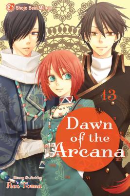 Dawn of the Arcana, Volume 13 - Rei Toma