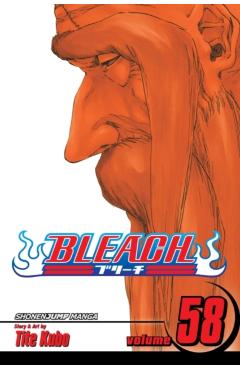 Bleach, Vol. 58, 58 - Tite Kubo