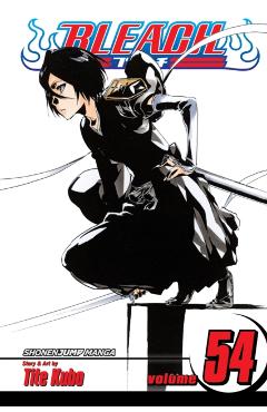 Bleach, Vol. 54, 54 - Tite Kubo