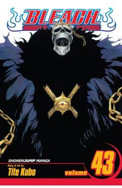 Coperta cărții 'Bleach, Vol. 43, 43 - Tite Kubo'