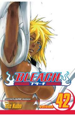Coperta cărții 'Bleach, Vol. 42, 42 - Tite Kubo'