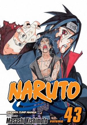 Naruto, Vol. 43, 43 - Masashi Kishimoto