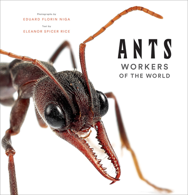 Ants: Workers of the World - Eleanor Spicer Rice