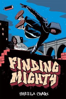 Finding Mighty - Sheela Chari