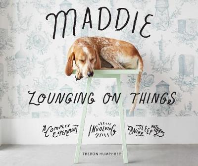 Maddie Lounging on Things: A Complex Experiment Involving Canine Sleep Patterns - Theron Humphrey