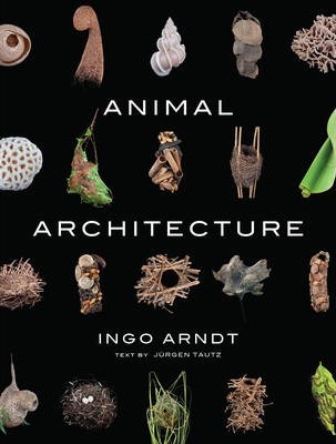 Animal Architecture - Ingo Arndt