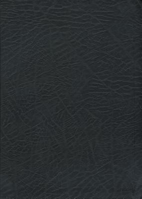 MacArthur Study Bible-NKJV-Large Print - Thomas Nelson