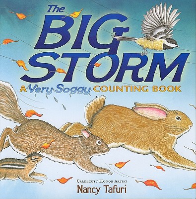 The Big Storm: A Very Soggy Counting Book - Nancy Tafuri