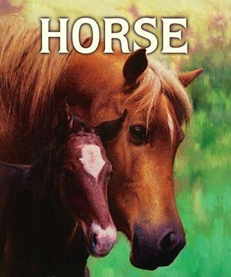 Horse - Malachy Doyle