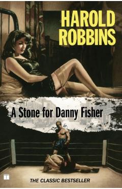 A Stone for Danny Fisher - Harold Robbins