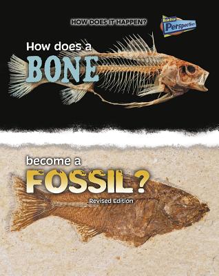How Does a Bone Become a Fossil? - Melissa Stewart
