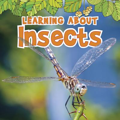 Learning about Insects - Catherine Veitch