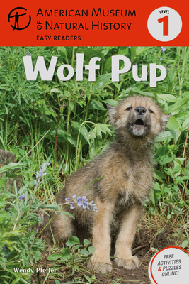 Wolf Pup: (level 1) - American Museum Of Natural History