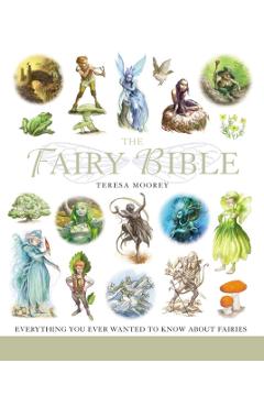 The Fairy Bible, 13: The Definitive Guide to the World of Fairies - Teresa Moorey