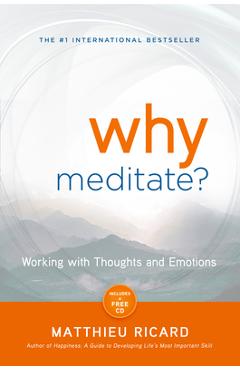 Poza produsului Why Meditate? - Matthieu Ricard
