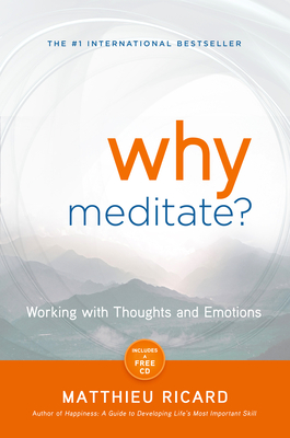 Why Meditate? - Matthieu Ricard