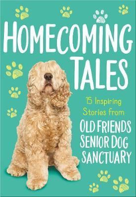 Homecoming Tales: 15 Inspiring Stories from Old Friends Senior Dog Sanctuary - Old Friends Senior Dog Sanctuary